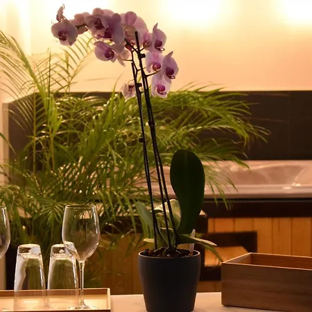 Bed & Breakfast Bahus 4*