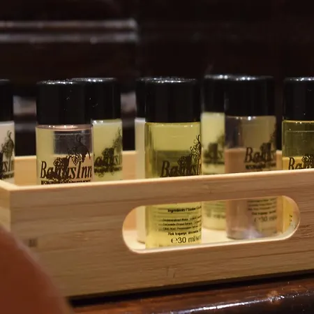 住宿加早餐酒店 Bahus 贝尔格莱德